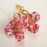 Pendientes Aster