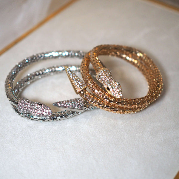 Silver Snake Bracelet Necklace