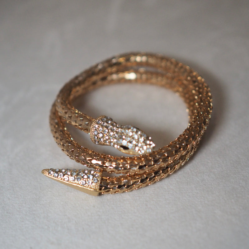 Golden Snake Bracelet Necklace