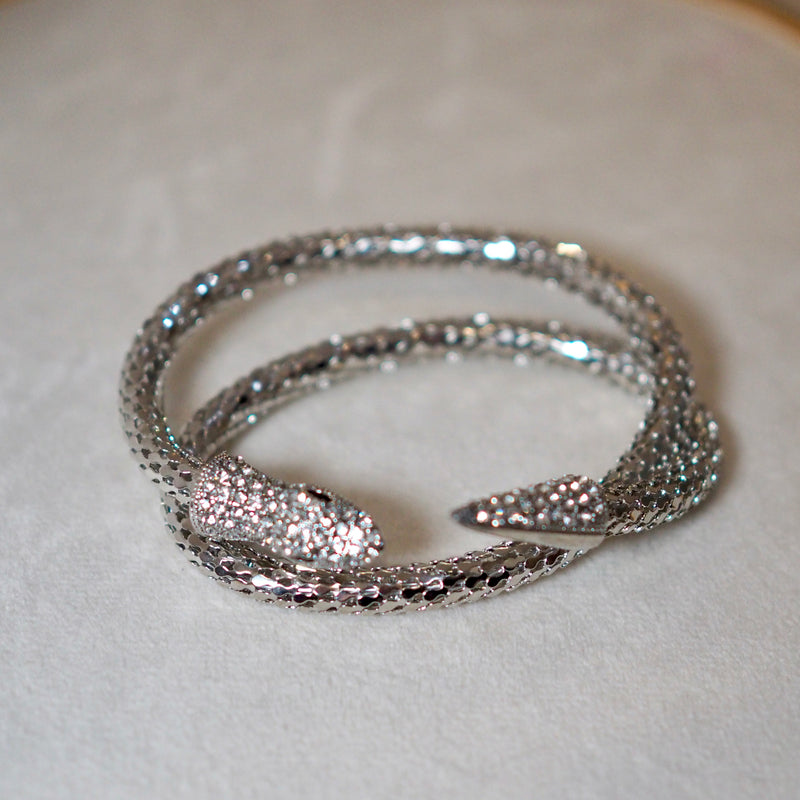 Silver Snake Bracelet Necklace