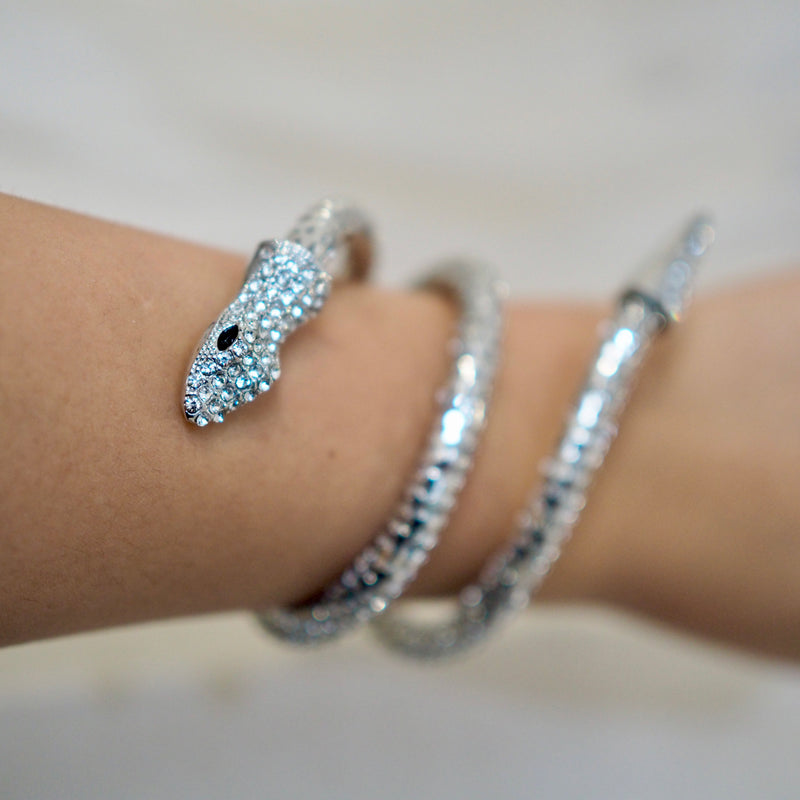 Silver Snake Bracelet Necklace